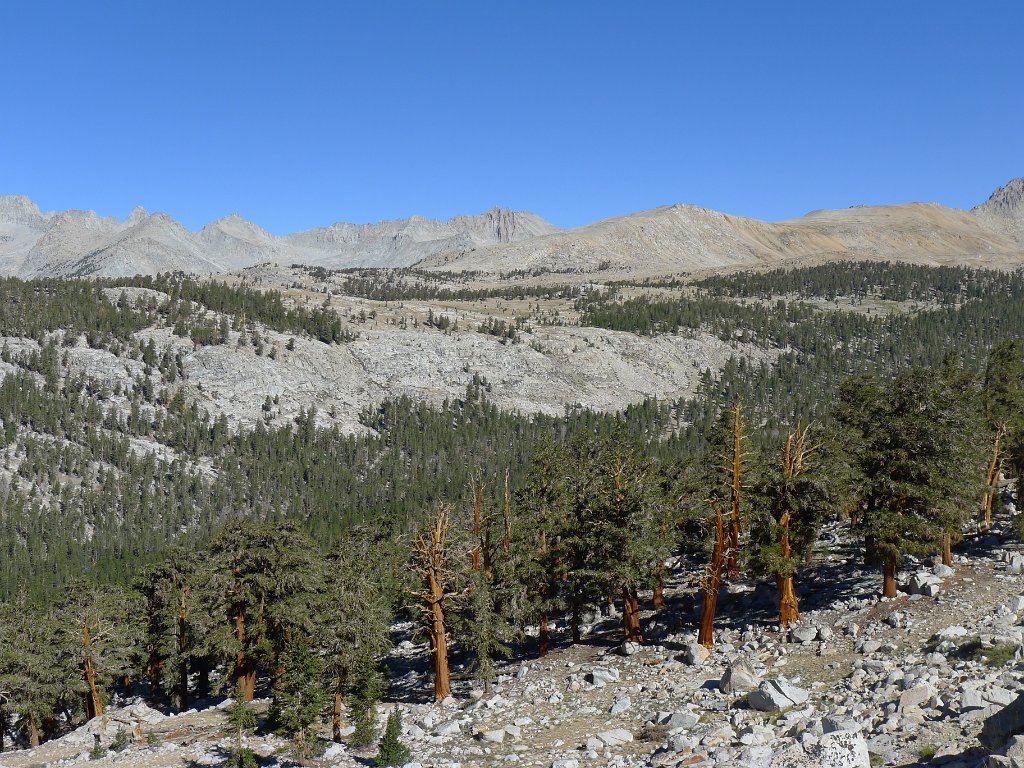 SouthernSierra 187